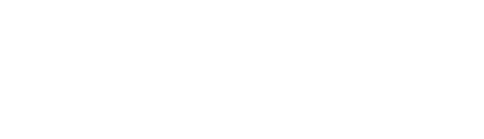 Advanced Capabilities — Limitless Solutions
